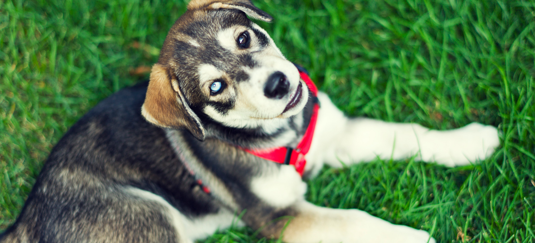 在线轰炸网页版